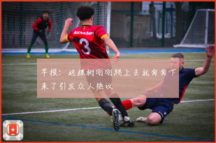 早报：这棵树刚刚爬上去就匆匆下来了引发众人热议